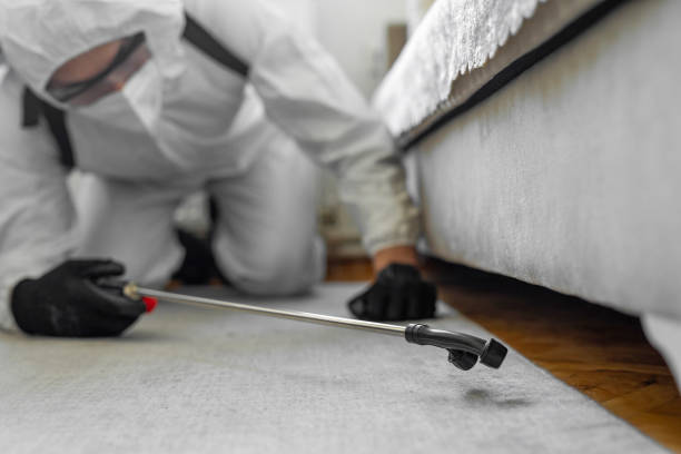 Professional Pest Control technician working in Bigfork, MT