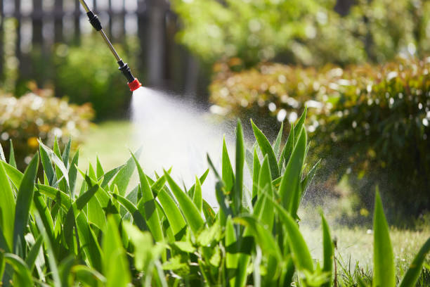24/7 Emergency Pest Control experts in Bigfork, MT