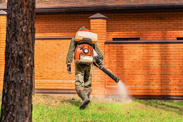 Top rated local Pest Control specialists in Bigfork, MT